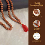 9 Mukhi Pathariya Rudraksha Mala 9-10mm