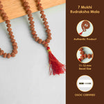 7 Mukhi Pathariya Rudraksha Mala 11-12 mm