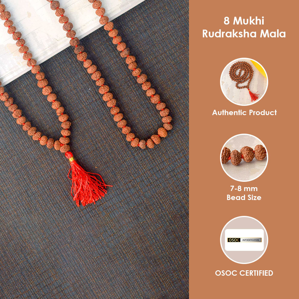 8 Mukhi Pathariya Rudraksha Mala 7-8mm