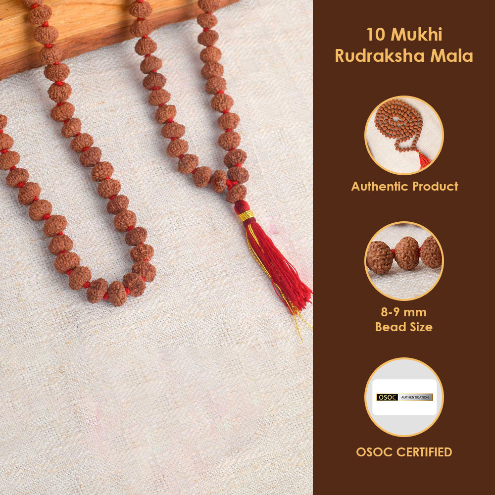 10 Mukhi Pathariya Rudraksha Mala 8-9mm