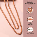 5 Mukhi Pathariya Rudraksh Mala 5mm Certified