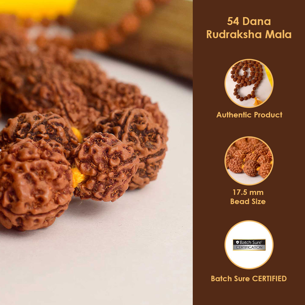 54 Dana Kantha Rudraksha Mala