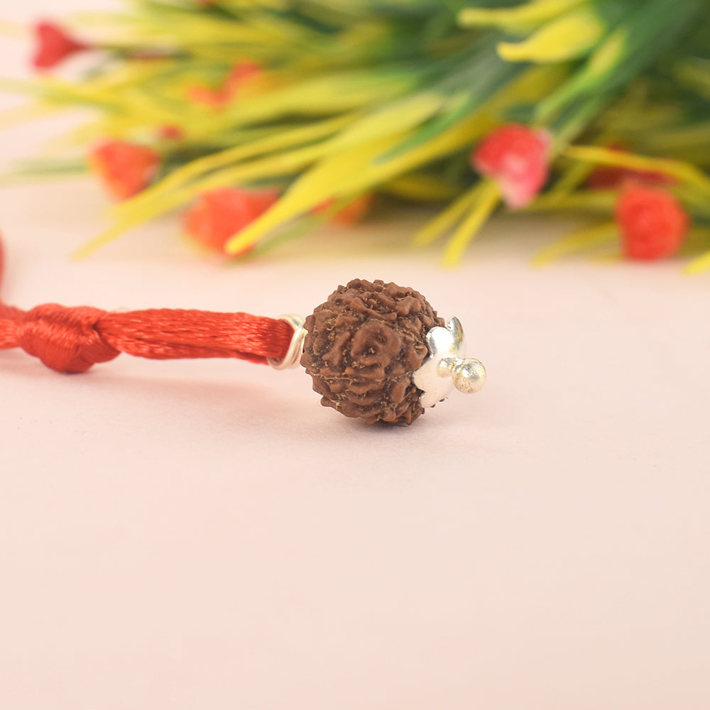 Certified 11 Mukhi Rudraksha Pendant