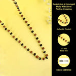 Rudraksha & Karungali Mala Silver Plated Beads Spiritual Protection Govt Certified