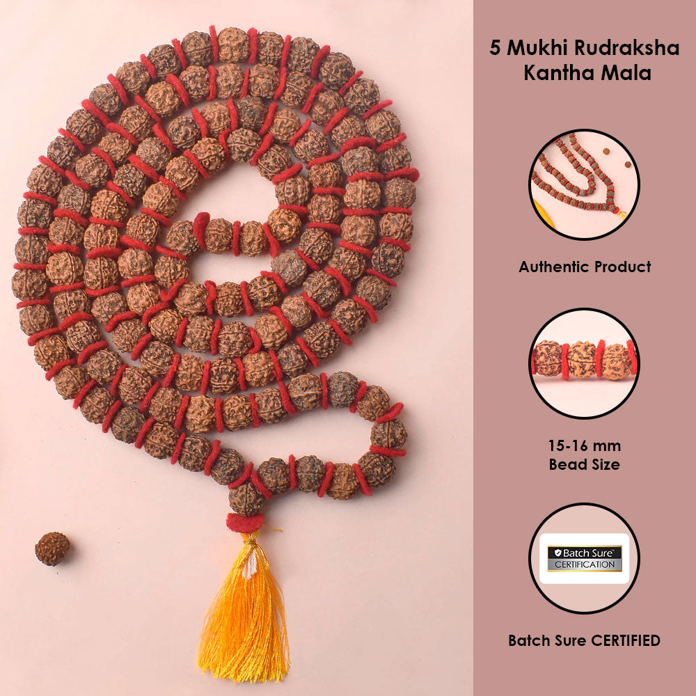 5 Mukhi 108 Beads Rudraksha Kantha Mala with Velvet Thread