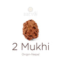 2 Mukhi Rudraksha bead natural Nepali 21.36mm two face Rudraksha.India’s Premium Rudraksha Beads Brand - www.satvikstore.in