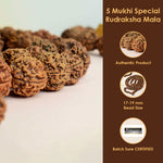 5 Mukhi Special Kantha Rudraksha Mala