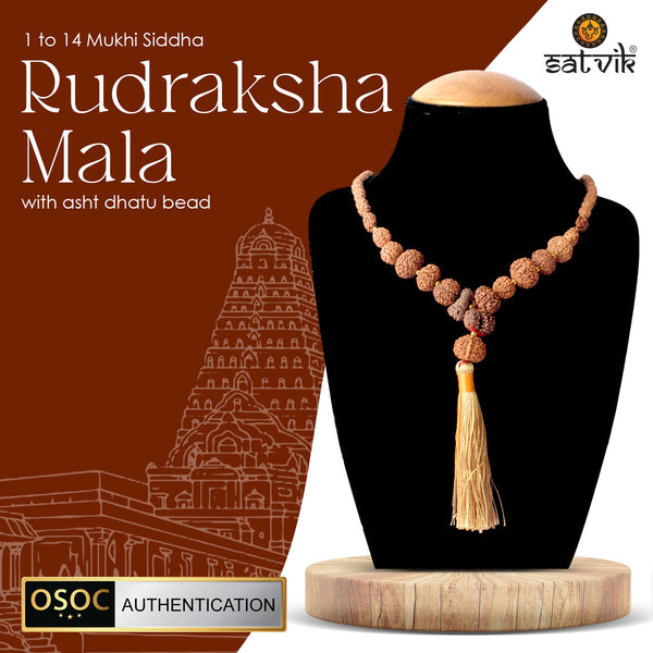1–14 Mukhi Siddh Rudraksha Mala with Asht Dhatu Capping 100% Original & Certified