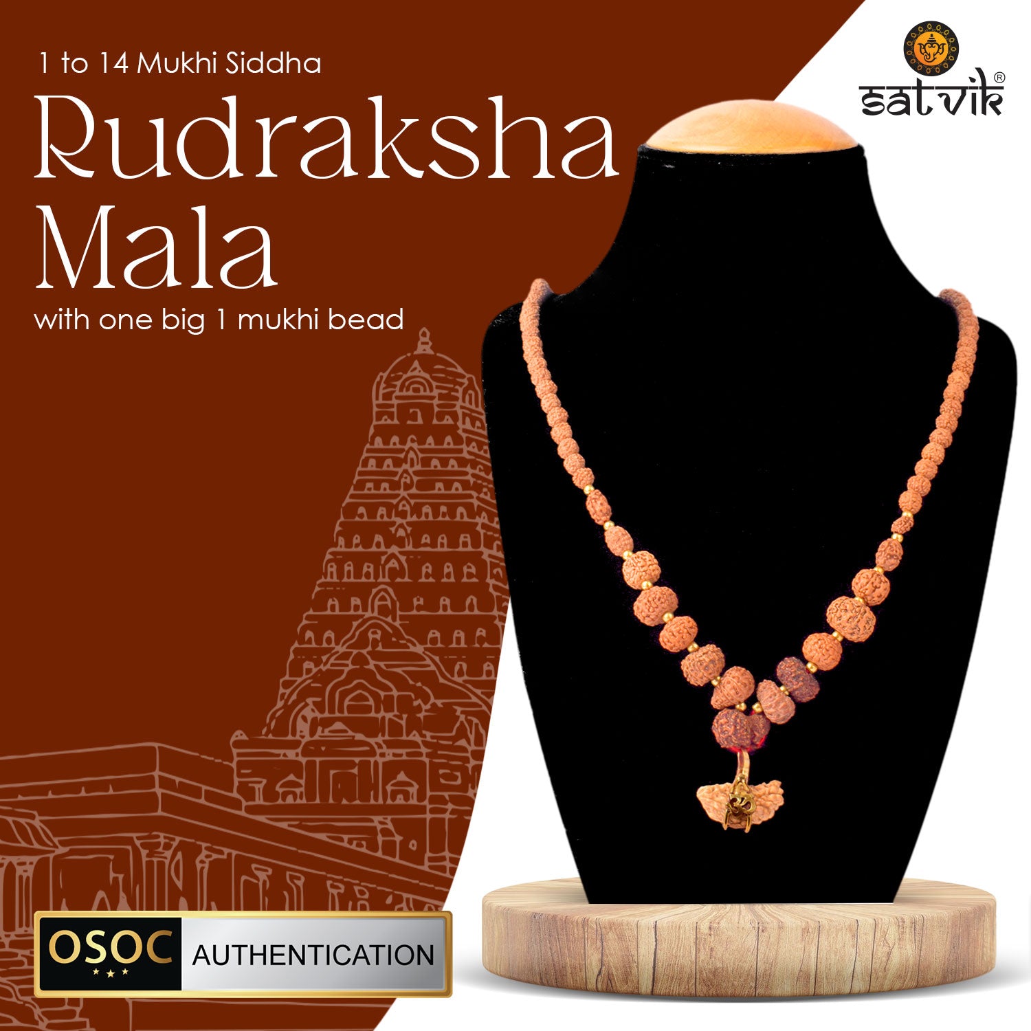 Buy 1–14 Mukhi Siddh Rudraksha Mala with Mukhi