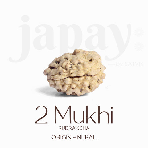 Original Certified 2 Face Rudraksha Bead from Himalaya for Unity & Peace. India’s Premium Rudraksha Jap Mala Store- www.satvikstore.in