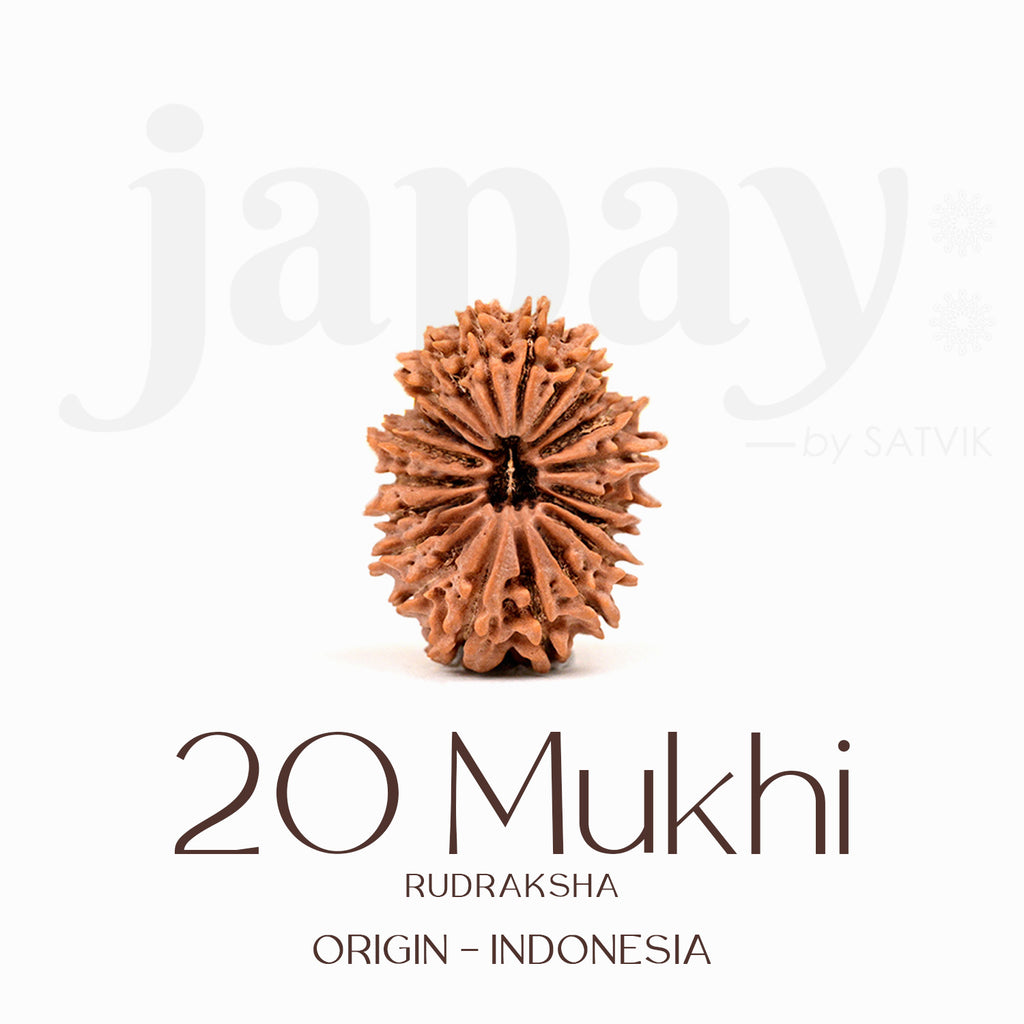 Certified 20 Mukhi Rudraksha Bead – Indonesia origin divine bead symbolizing Lord Brahma, enhances creativity, wisdom, and spiritual consciousness. India’s Largest Brass Idols Brand - www.satvikstore.in
