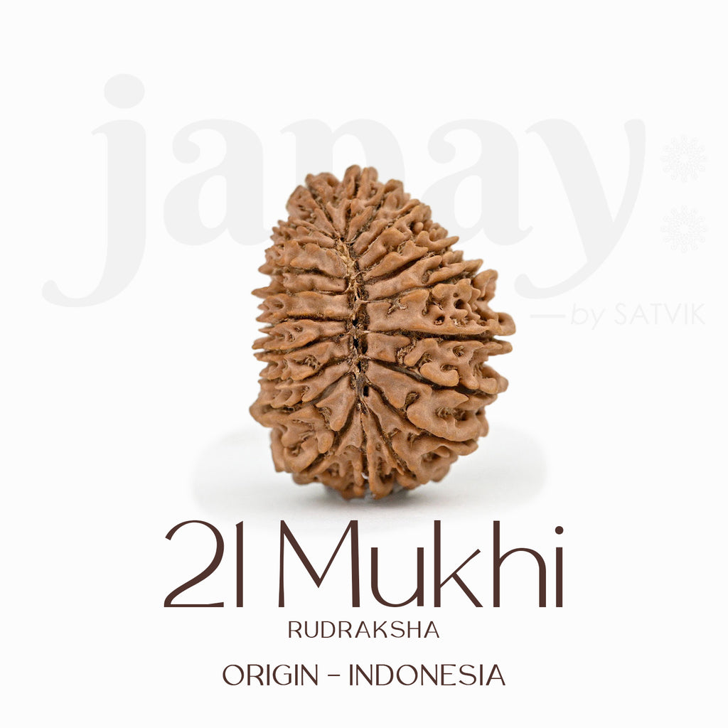 Certified 21 Mukhi Rudraksha Bead – Indonesia origin divine bead associated with Lord Kuber, symbolizing immense wealth, prosperity, and protection. India’s Largest Brass Idols Brand - www.satvikstore.in
