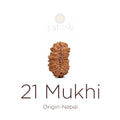 21 Mukhi Rudraksha bead natural Nepali twenty one face Rudraksha. India’s Premium Rudraksha Beads Brand - www.satvikstore.in