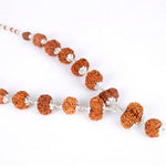 Siddha Mala with 1 Mukhi Underdeveloped (Full Rudraksha, Nepal)