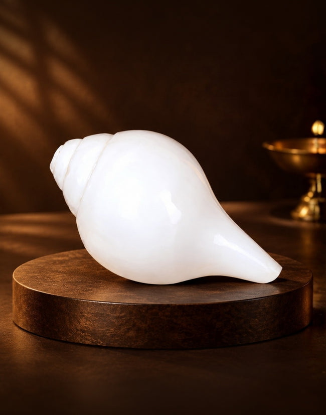 Shankh