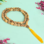 3 Mukhi 15-16mm Kantha Rudraksha Mala