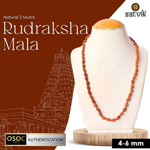 2 mukhi (4-6mm) semi pathriya rudraksha mala