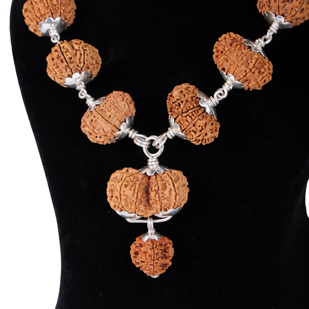 Siddha Mala with 1 Mukhi Sawar (Silver Chain, Nepal Collector)