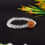 4 Mukhi Rudraksha Glass crystal beads Bracelet