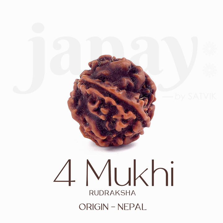 Certified 4 Mukhi natural brown Rudraksha bead placed on red cloth, representing wisdom, speech clarity, and blessings of Lord Brahma. India’s Largest Pooja Accessories Brand - www.satvikstore.in


