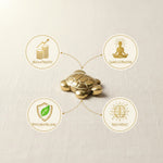 Pyrite Tree Pyramid & Golden Pyrite Tortoise Combo for Wealth & Prosperity