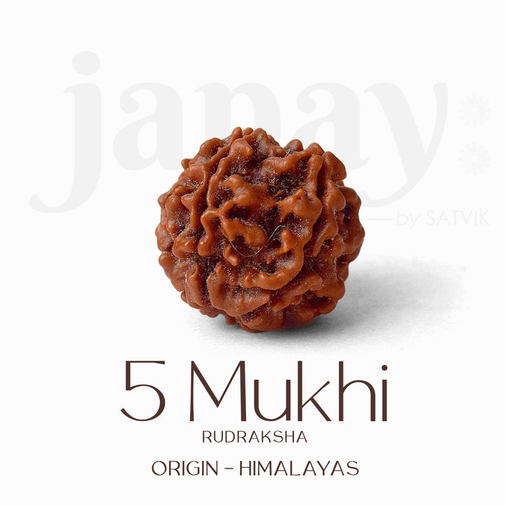 Certified 5 Mukhi Rudraksha Kantha Mala with brown natural beads, hand-strung for spiritual protection and meditation benefits. India’s Largest Pooja Accessories Brand - www.satvikstore.in
