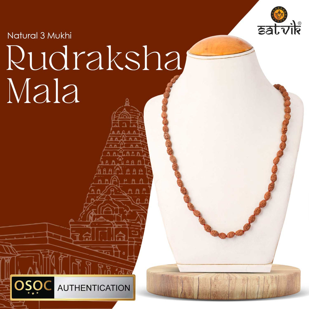 Original 3 Mukhi Rudraksha Mala – 108 Beads for Confidence, Healing & Inner Purification. India’s Largest Pooja Accessories Brand - www.satvikstore.in 