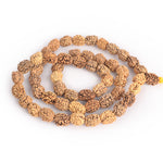 3 Mukhi 15-16mm Kantha Rudraksha Mala