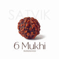 6 Mukhi Rudraksha bead natural Nepali regular six face Rudraksha. India’s Premium Rudraksha Beads Brand - www.satvikstore.in