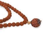 5 Mukhi Rudraksha Mala with Silver-Plated Capping Beads