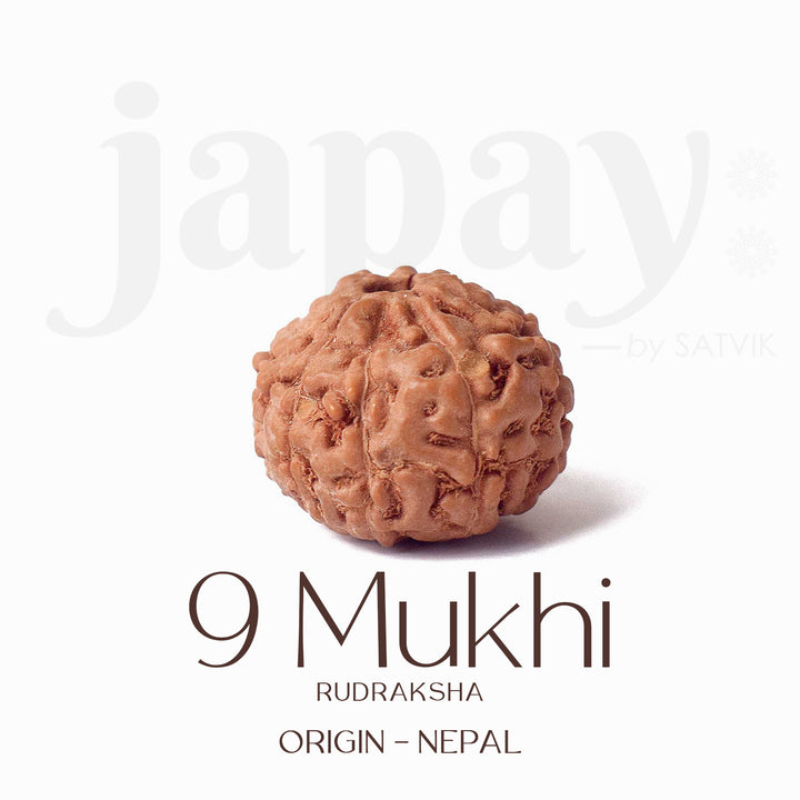 Certified 9 Mukhi brown Rudraksha bead from Indo origin placed on red cloth, representing divine strength, protection, and blessings of Goddess Durga. India’s Largest Pooja Accessories Brand - www.satvikstore.in