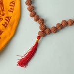 7 Mukhi Pathariya Rudraksha Mala 11-12 mm
