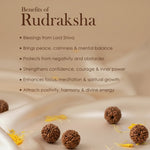 10 Mukhi Pathariya Rudraksha Mala 8-9mm