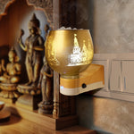 Shri Rama electric Kapoor Dani aroma burner and night lamp