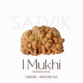 Original Certified One Mukhi Rudraksha bead in brown color placed on a red cloth for spiritual and meditative use. India’s Largest Pooja Accessories Brand - www.satvikstore.in