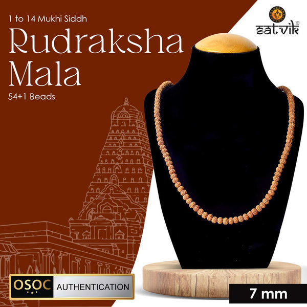1 to 14 Mukhi Siddh Rudraksha Mala Certified & Authentic