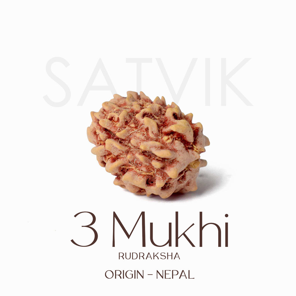 Certified 3 Mukhi Kantha Rudraksha Mala with light brown beads for spiritual healing, meditation, and emotional strength. India’s Largest Pooja Accessories Brand - www.satvikstore.in