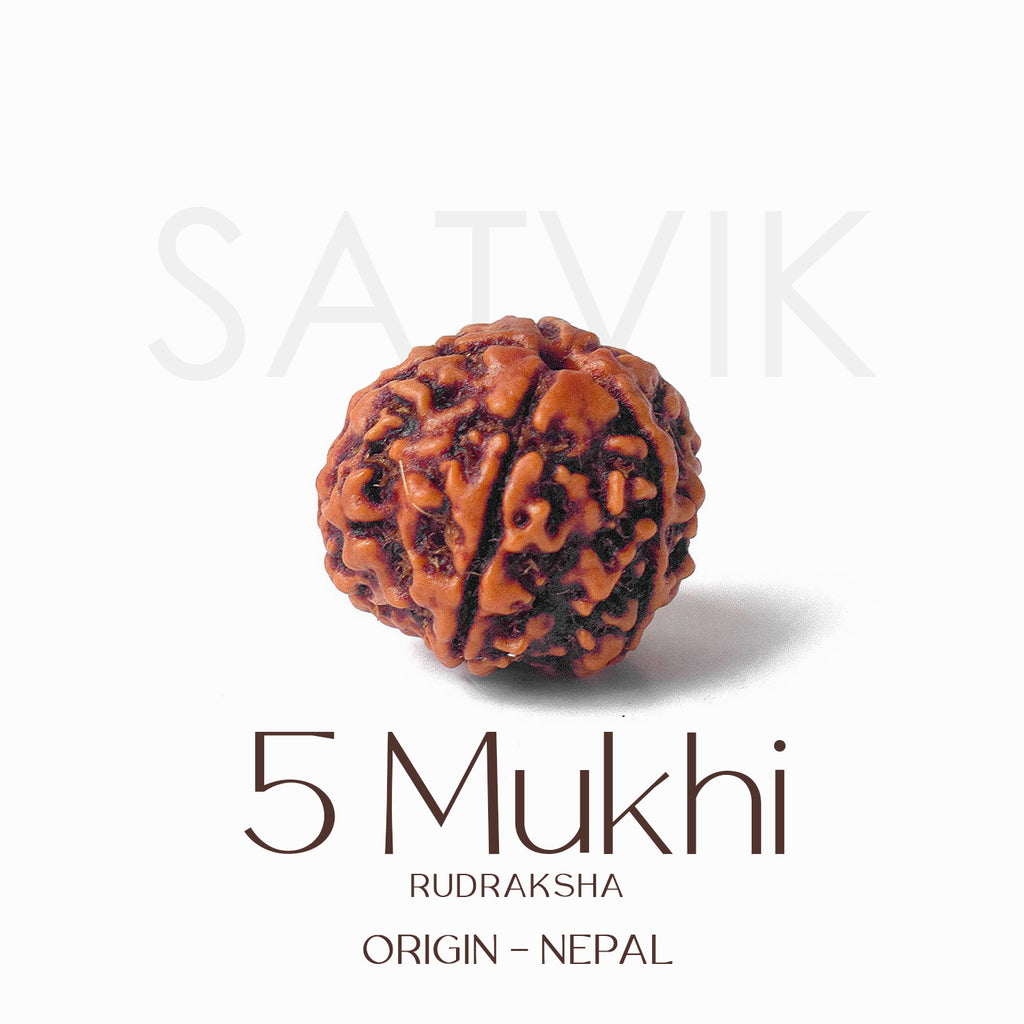 Certified 5 Mukhi Rudraksha Kantha Mala with brown natural beads, hand-strung for spiritual protection and meditation benefits. India’s Largest Pooja Accessories Brand - www.satvikstore.in
