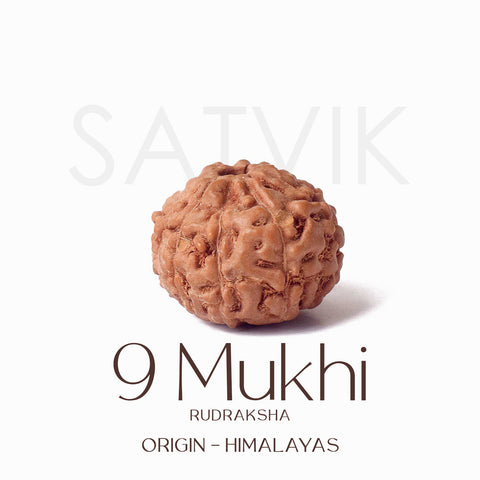 Certified 9 Mukhi brown Rudraksha bead from Indo origin placed on red cloth, representing divine strength, protection, and blessings of Goddess Durga. India’s Largest Pooja Accessories Brand - www.satvikstore.in