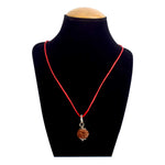 Certified 6 Mukhi Rudraksha Pendant