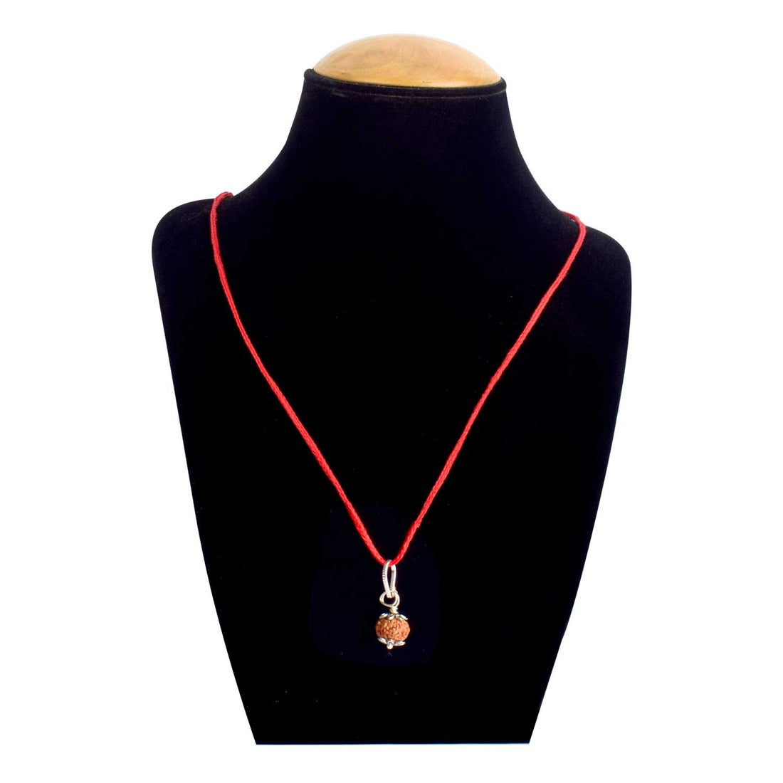 Certified 10 Mukhi Rudraksha Pendant