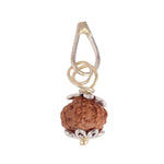 Certified 7 Mukhi Rudraksha Pendant