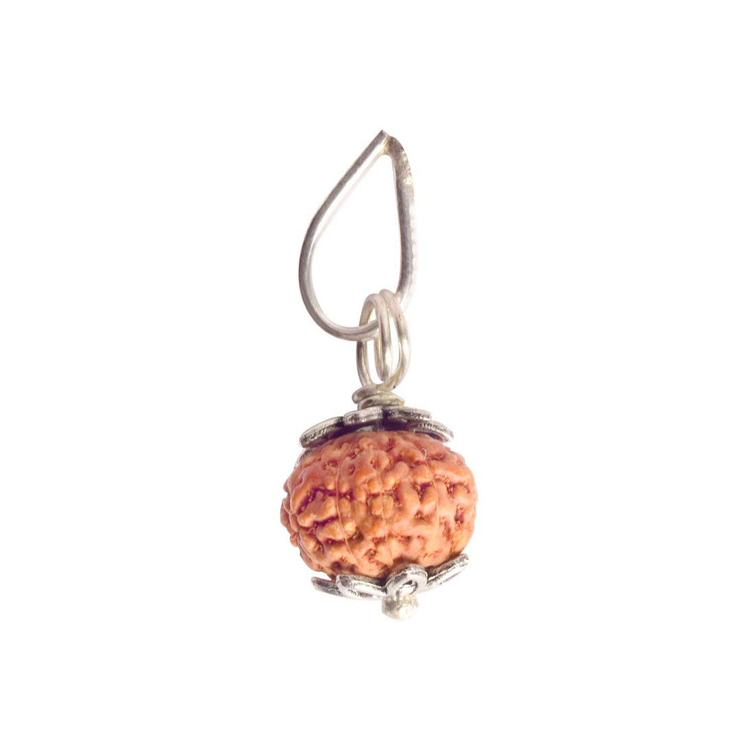 Certified 10 Mukhi Rudraksha Pendant