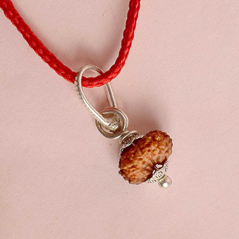 Certified 14 Mukhi Rudraksha Pendant with metal capping for spiritual strength and intuition. India’s Premium Rudraksha Jap Mala Store- www.satvikstore.in
