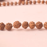 5 Mukhi Pahtariya Rudraksha Mala 7-8mm
