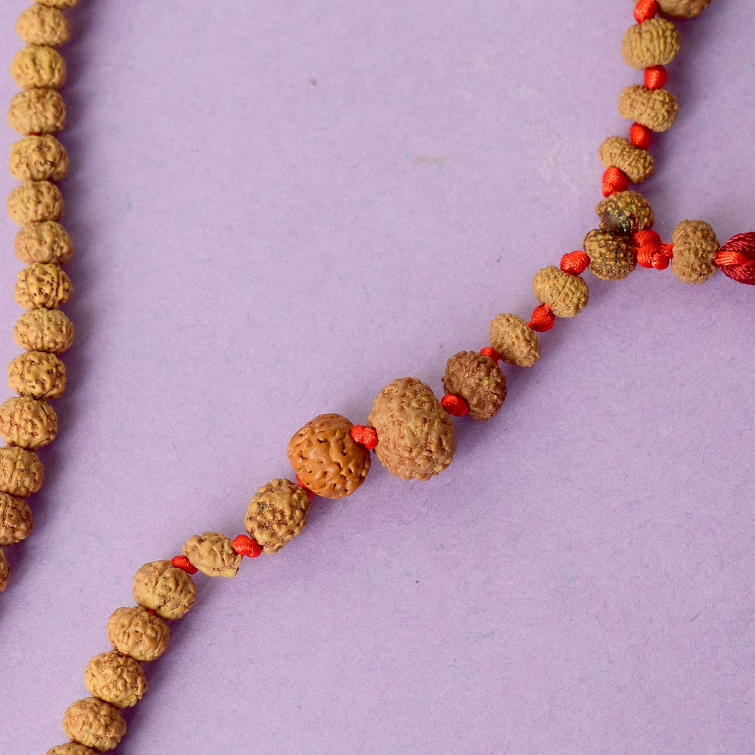 1 to 14 Mukhi Siddh Rudraksha Mala Certified & Authentic