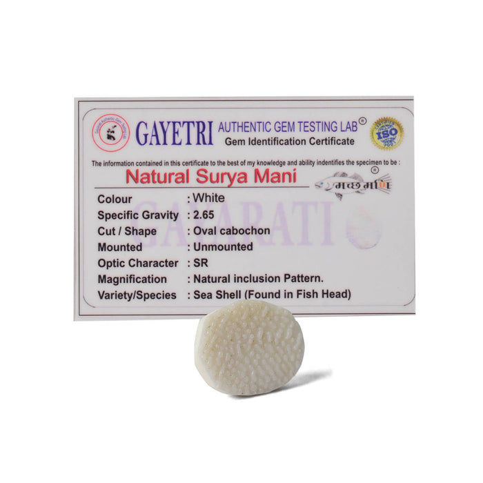 White Surya Mani (Machh Mani) stone placed on a red pooja cloth with diya and sacred items, used for Surya sadhana and spiritual strength. India’s Largest Pooja Accessories Brand - www.satvikstore.in
