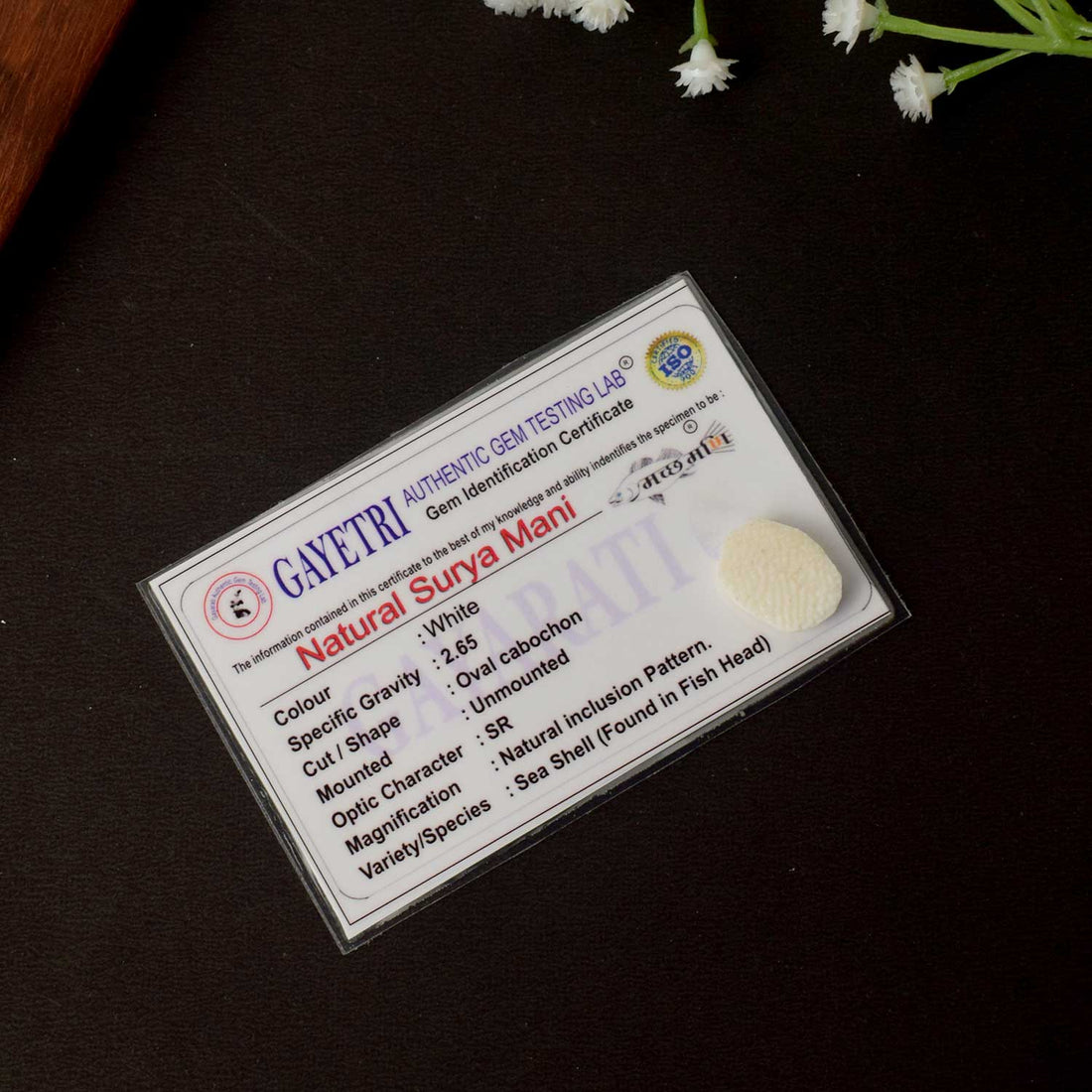 Certified Surya Mani (Machh Mani) in White Finish for Divine Radiance & Sun Energy