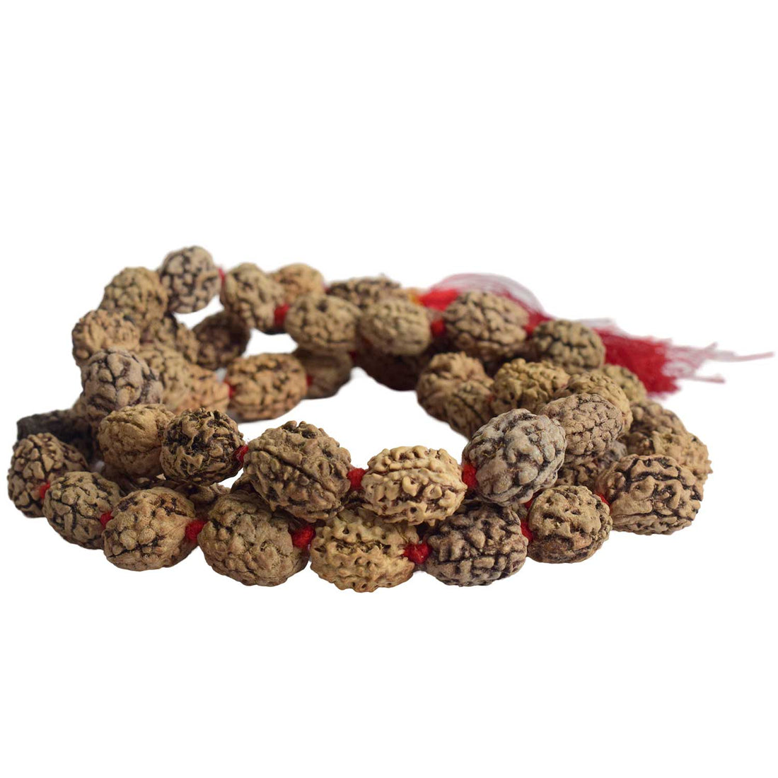 3 Mukhi Kantha Rudraksha Mala