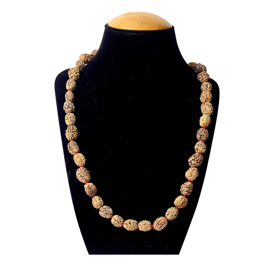 3 Mukhi Kantha Rudraksha Mala